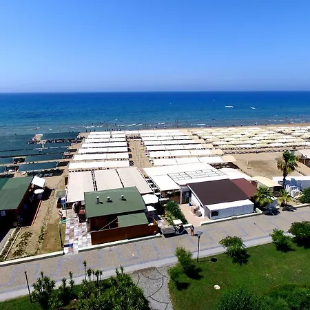 Royal Paradise 시데